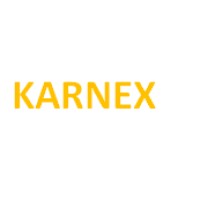 Karnex Group logo - Similar company to Karnex Software Solutions Pvt Ltd