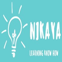 Nikaya logo - Similar company to Eurosolutions Srl