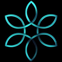 See Through Solutions logo - Similar company to Codemenders Oy