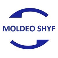 Moldeo Shyf logo - Similar company to Moldeo Interactive