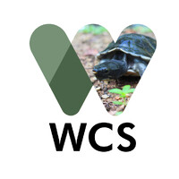 Wildlife Conservation Society, Belize Program logo - Similar company to Belize Foundation For Research And Environmental Education