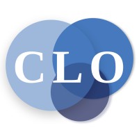 Chief Learning Officer logo - Similar company to New Rules For Work