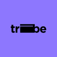 Tribe logo - Similar company to Tribe