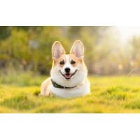 Iherb 1 logo - Similar company to Iherbmed