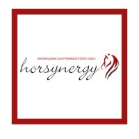 horsynergy© coaching logo - Similar company to Institut Für Wissenschaftliche Weiterbildung (Iww) - Hochschule Karlsruhe