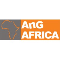 AnG Africa Procurement Pty Ltd logo - Similar company to Digitfms