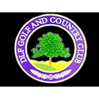 DLF Golf Resort Ltd logo - Similar company to K&A Golf