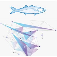 Bluefish Capital logo - Similar company to Bluefish Wireless