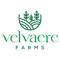 Velvaere Farms logo - Similar company to Insurance Capital Group