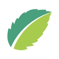 Mint Dental of Franklin logo - Similar company to Mint Dental
