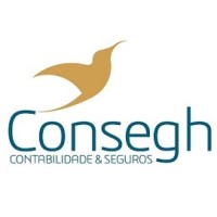 Consegh logo - Similar company to Noxae. Lda.