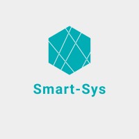 Smart-Sys Egypt logo - Similar company to Fbis-Eg