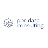 Pbr Data Consulting Llc