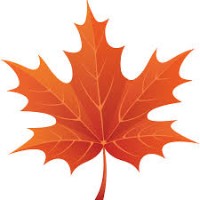 Maple Leap Groups logo - Similar company to Marlliceter