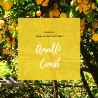 Amalfi Coast logo - Similar company to Platinum Dining Group
