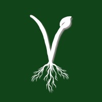 Agrovive logo - Similar company to Confeagro - Confederação Dos Engenheiros Agrônomos Do Brasil