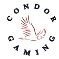 Condor Gaming logo - Similar company to Condor Gaming