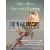 Chetwynd Consort logo - Similar company to Milverton Education