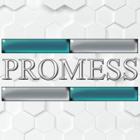 Promess logo - Similar company to Eaminc