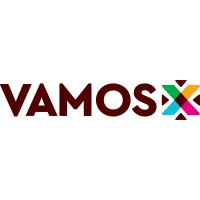 VamosX logo - Similar company to Transsight