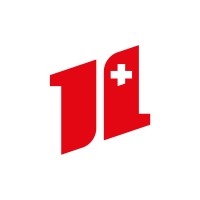 TechFirm Group logo - Similar company to Itx