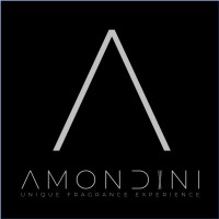 AMONDINI AG logo - Similar company to Ct-Commerce Ag