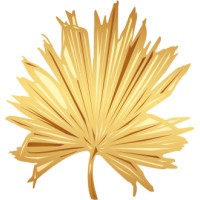 IGS INGENIEROS SL logo - Similar company to Gran Oasis Resort