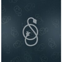 Silverarrow logo - Similar company to Ezygo.App - Incubated By Iimk Live