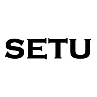 Setu Consulting Services Pvt. Ltd. logo - Similar company to Lucidbrainz