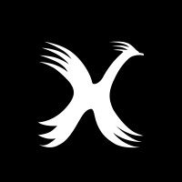 PHX Medya logo - Similar company to Konseptkutu.Com