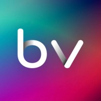 Business Vibes logo - Similar company to Sponixtech