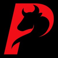 ProTrader Scans logo - Similar company to Loop2 Digital