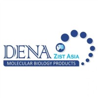 DENAzist Asia logo - Similar company to Amirkabir Institute