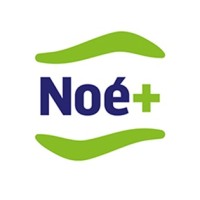 Noé+ logo - Similar company to Co'Imparo