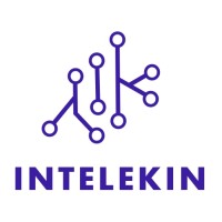 Intelekin Solutions logo - Similar company to The Jericho Group Consultants