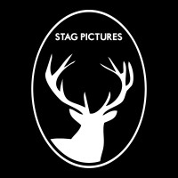 Stag Pictures logo - Similar company to Pennant Education