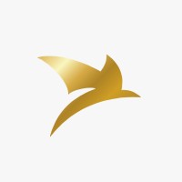 AFNE - Associação Filantrópica Nova Esperança logo - Similar company to Ints - Instituto Nacional De Tecnologia E Saúde
