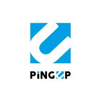 PingUp Algérie logo - Similar company to Vision System Plus