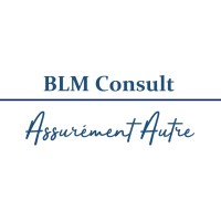 BLM Consult logo - Similar company to Cateis Conseil En Analyse Du Travail Etudes Et Innovations Sociales