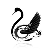 Black Swan, LLC logo - Similar company to Black Swan Strategy