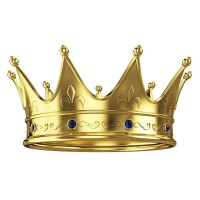 Consultoria Camelot logo - Similar company to Piego 