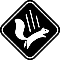 Falling Squirrel Inc. logo - Similar company to Pixelnauts