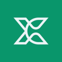 ExcelCamp logo - Similar company to Continuous Improvement Consulting