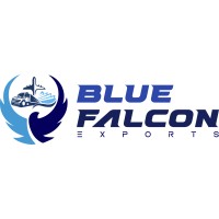 Blue Falcon Exports Pvt. Ltd. logo - Similar company to Devteam24
