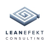 Leanefekt logo - Similar company to Pdtek S.R.L.