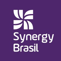 Synergy Brasil logo - Similar company to Legacy Contadores
