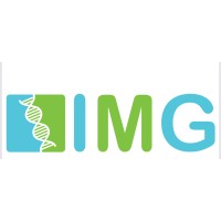IMG logo - Similar company to Financial Lab