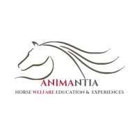 Animantia logo - Similar company to Horsi