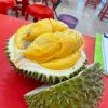 Golden Palm Marketing Sdn Bhd