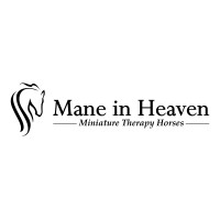 Mane in Heaven Miniature Therapy Horses